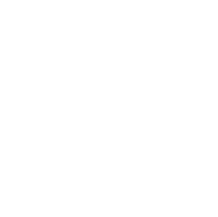 Sagient — Wisdom · Experience · Innovation